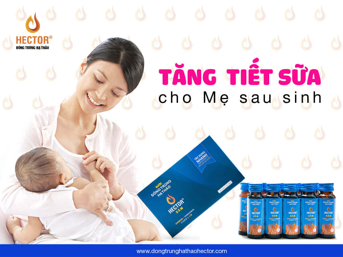 1 Chai Nước Đông Trùng Hạ Thảo Hector Sâm, Uống Trực Tiếp, Tăng Sức Đề Kháng, Tăng Cường Sinh Lý Nam Nữ, Tăng Tiết Sữa Cho Mẹ, Bảo Vệ Chức Năng Gan Thận, Giảm Say Tàu Xe, Nam, Nữ, Người Lớn Tuổi Đều Dùng Được