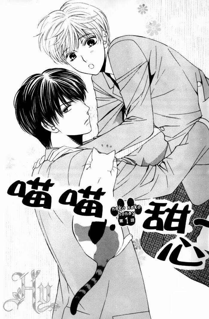 neko neko honey chapter 1 4