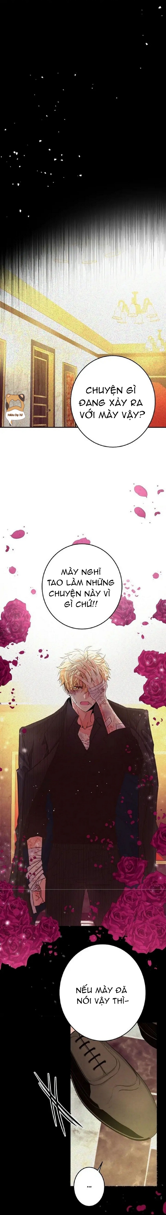 mối quan hệ phù hợp chapter 17 27