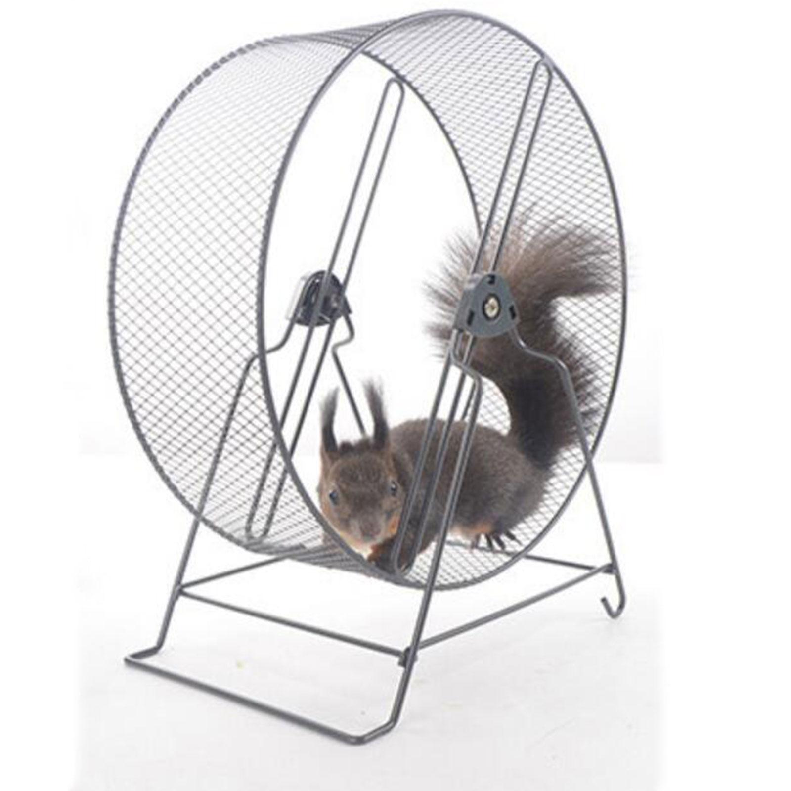 Iron Hamster Running Exercise Wheel Guinea Pig Jogging Wheel Black Wire Mesh