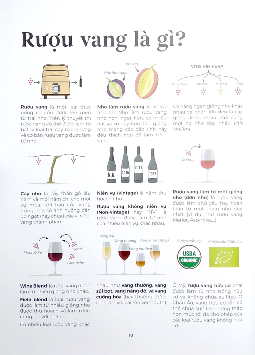 Wine Folly Toàn Tập - Phiên Bản Magnum (Bìa Cứng) _PNU