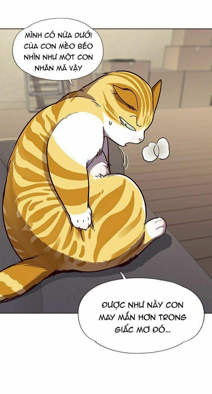 biến thân thành mèo chapter 65 13