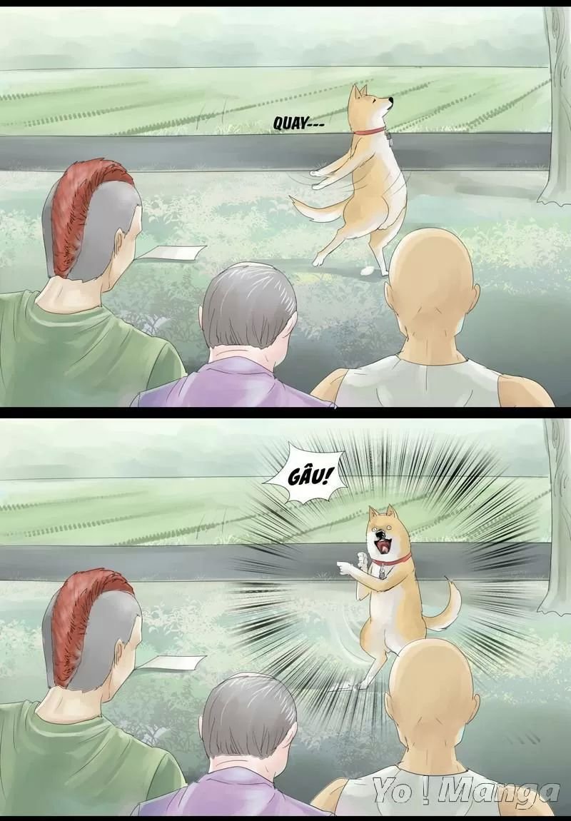 một con chó chapter 15 3