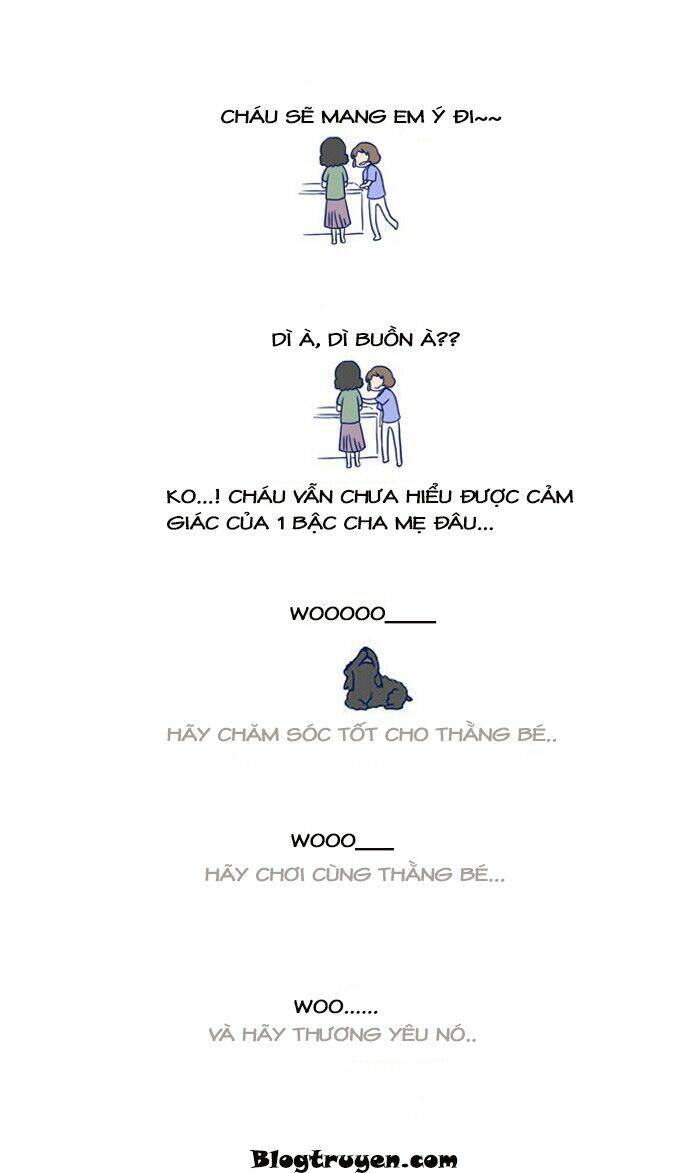 my kitty and old dog chapter 11 6