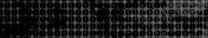 thánh tỏi sành ăn chapter 44 5