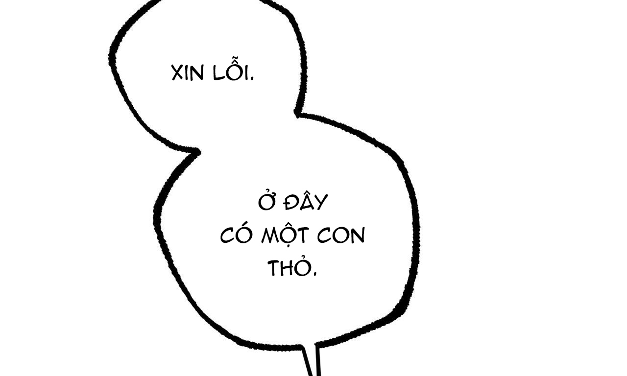 đàn thỏ của habibi chapter 35 14