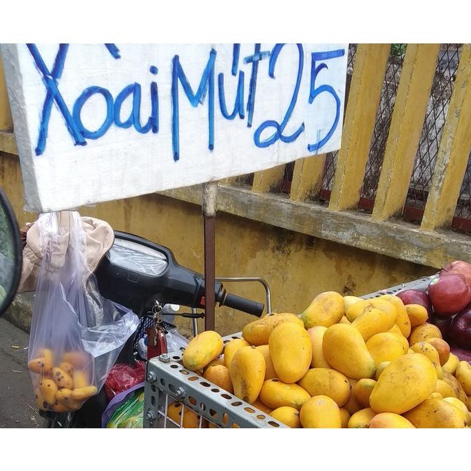 CÂY GIỐNG XOÀI TÍ HON SIÊU QUẢ - CÂY GHÉP