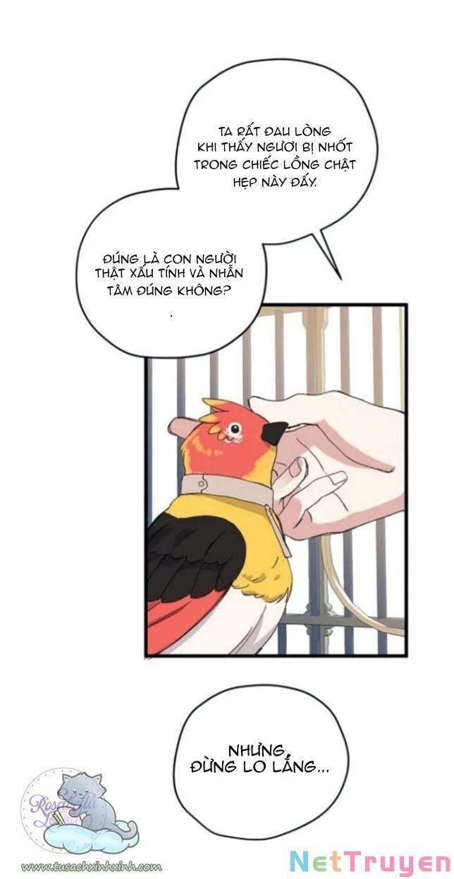 xin hãy cứ khóc, thái tử chapter 1 53