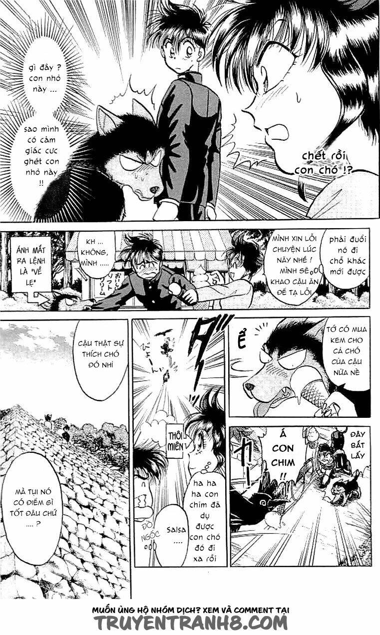 wild half chapter 5 9