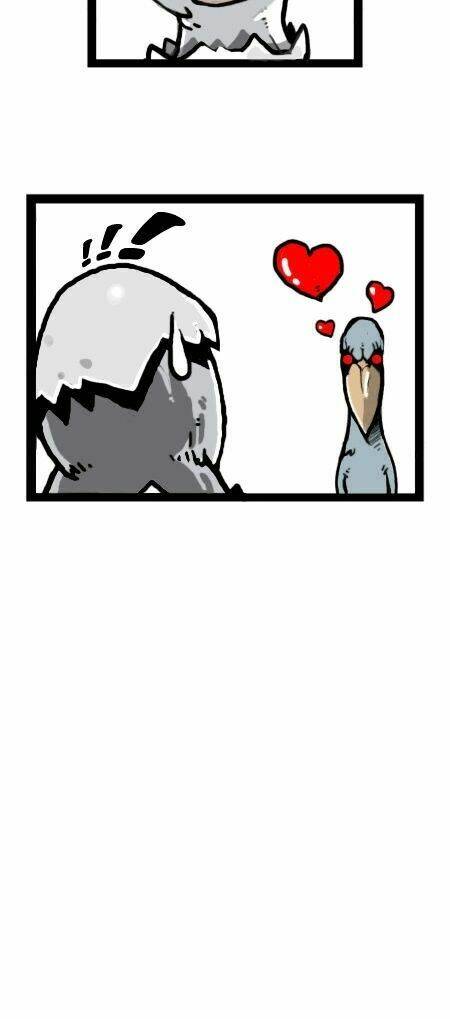 earth, human, and animal chapter 14 20