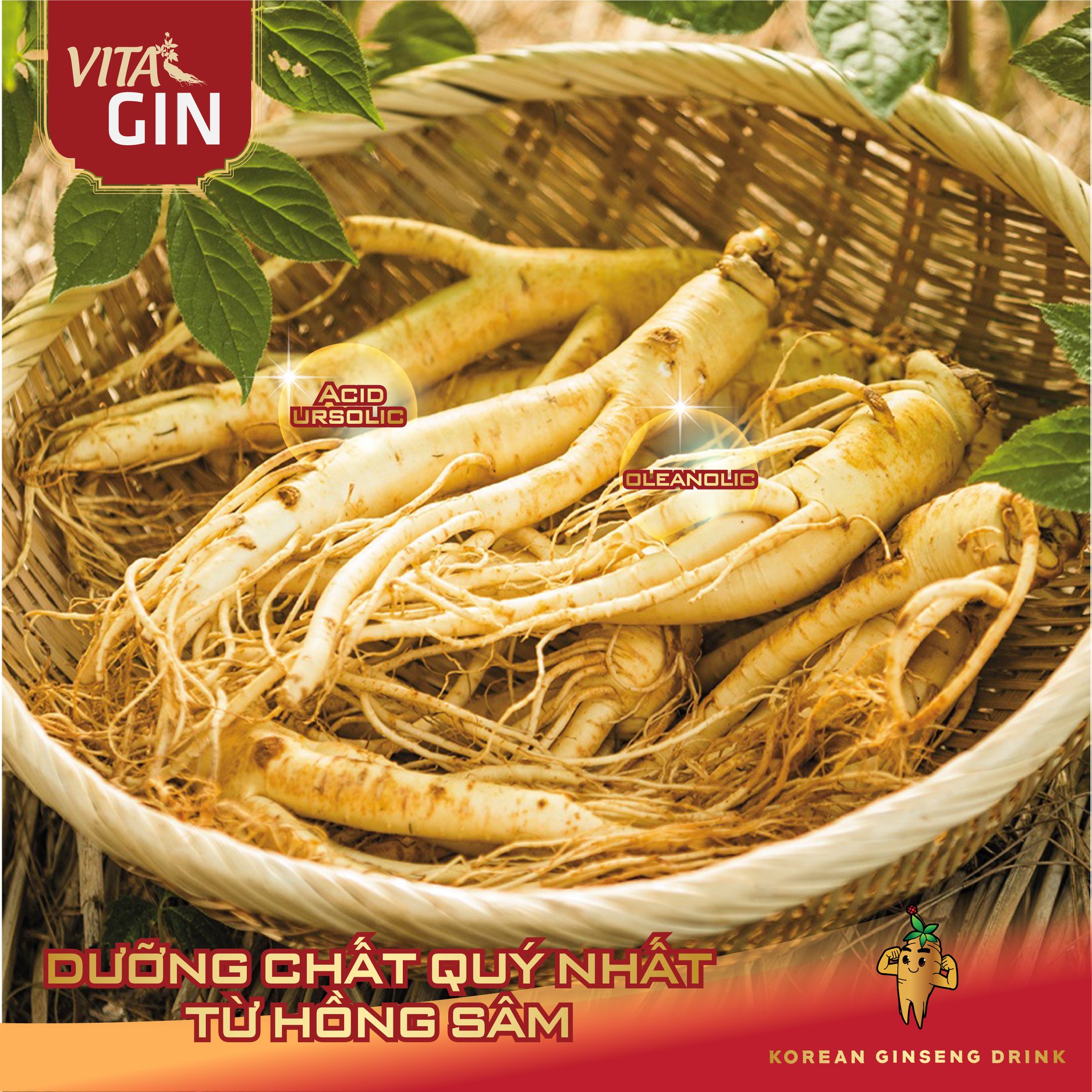 Nước Hồng Sâm Hàn Quốc VITAL GIN PLATINUM (6 chai x 75ml)