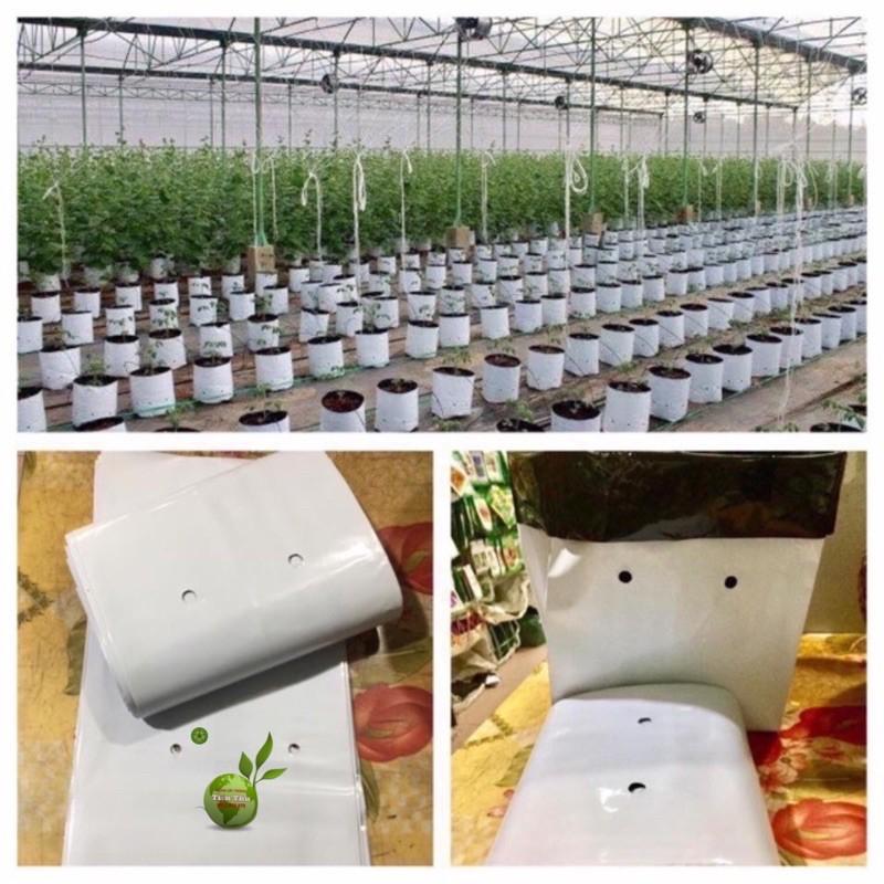 1kgTÚI BẦU TRỒNG CÂY TRONG NHÀ LƯỚI 2 DA