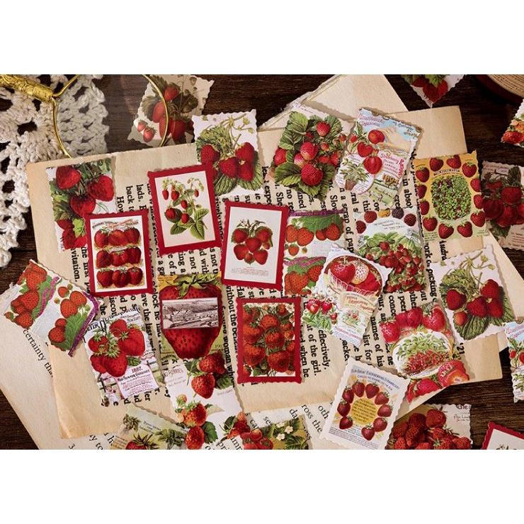 Bộ 46 Sticker Dâu Tây Siêu Đáng Yêu E129