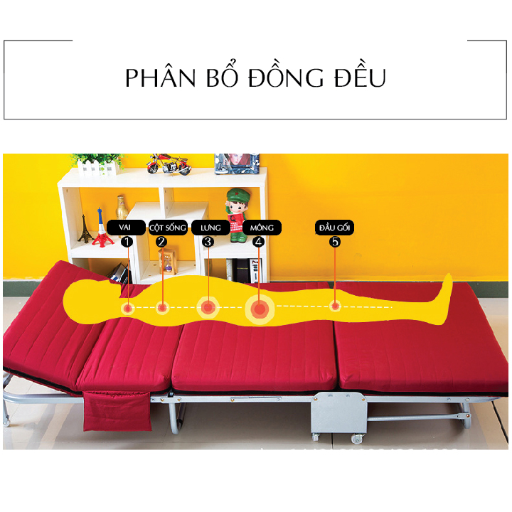 Giường ngủ trưa văn phòng - Giường ngủ gấp gọn - Giường ngủ - Giường ngủ văn phòng đa năng cao cấp