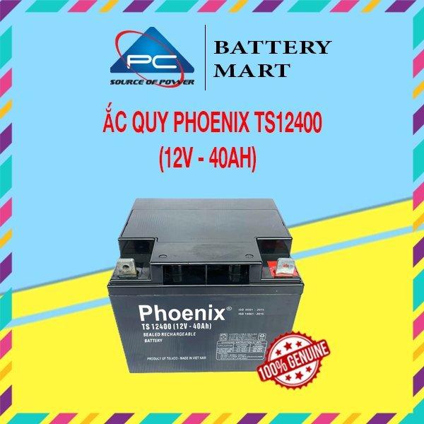 Bình Ắc Quy Khô PHOENIX TS12400 12V-40AH