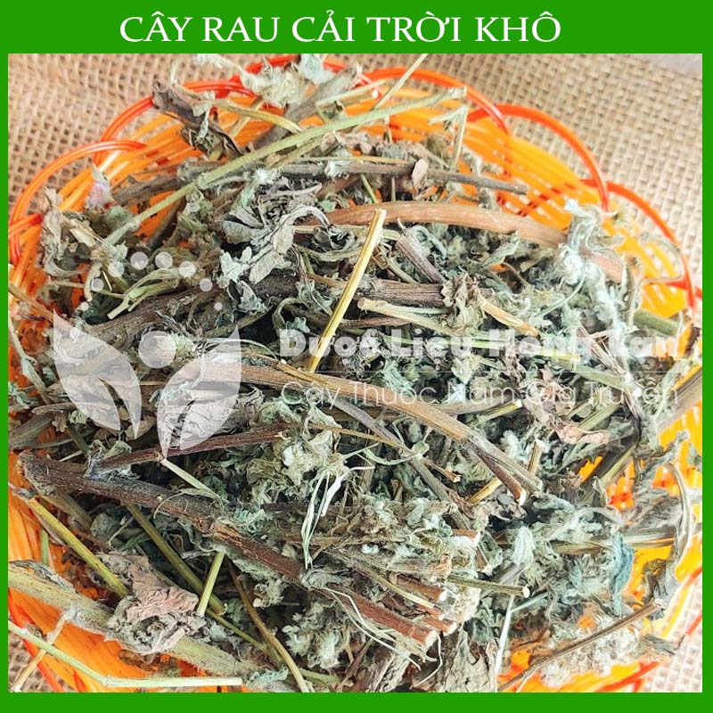 Cây Rau Cải Trời khô 500g (Hàng Công Ty)