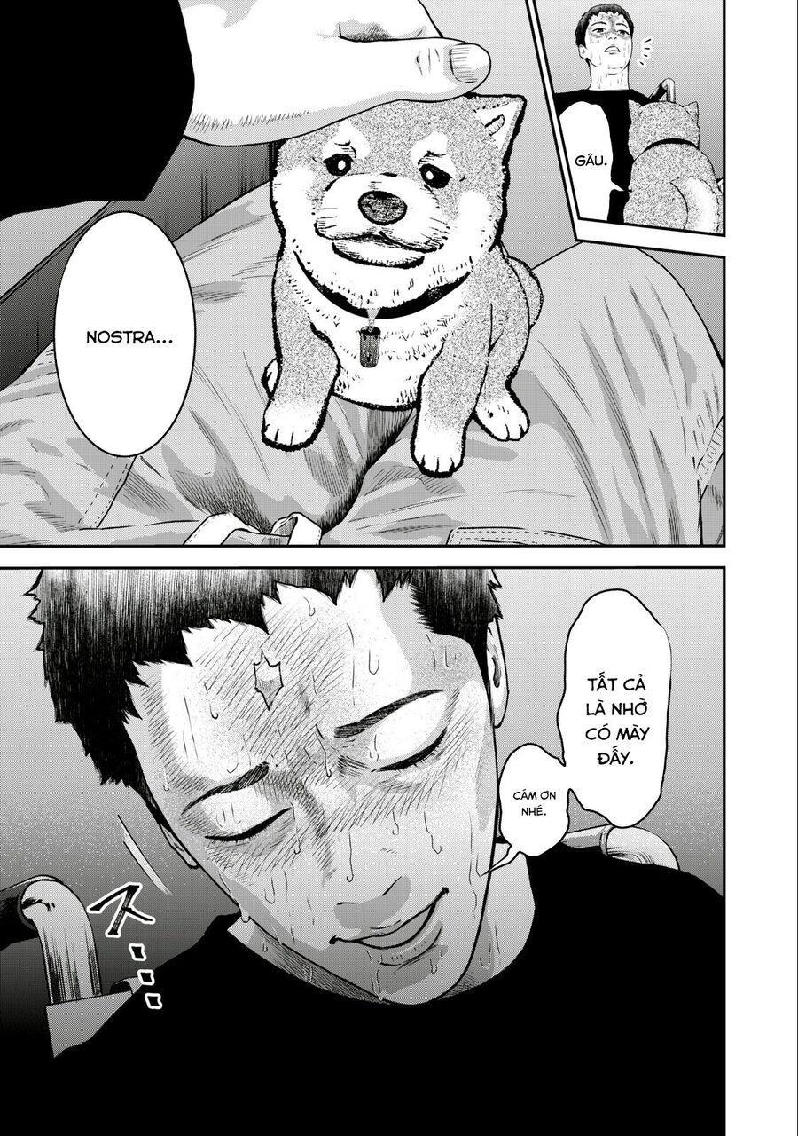 mật danh: nostra chapter 28 10