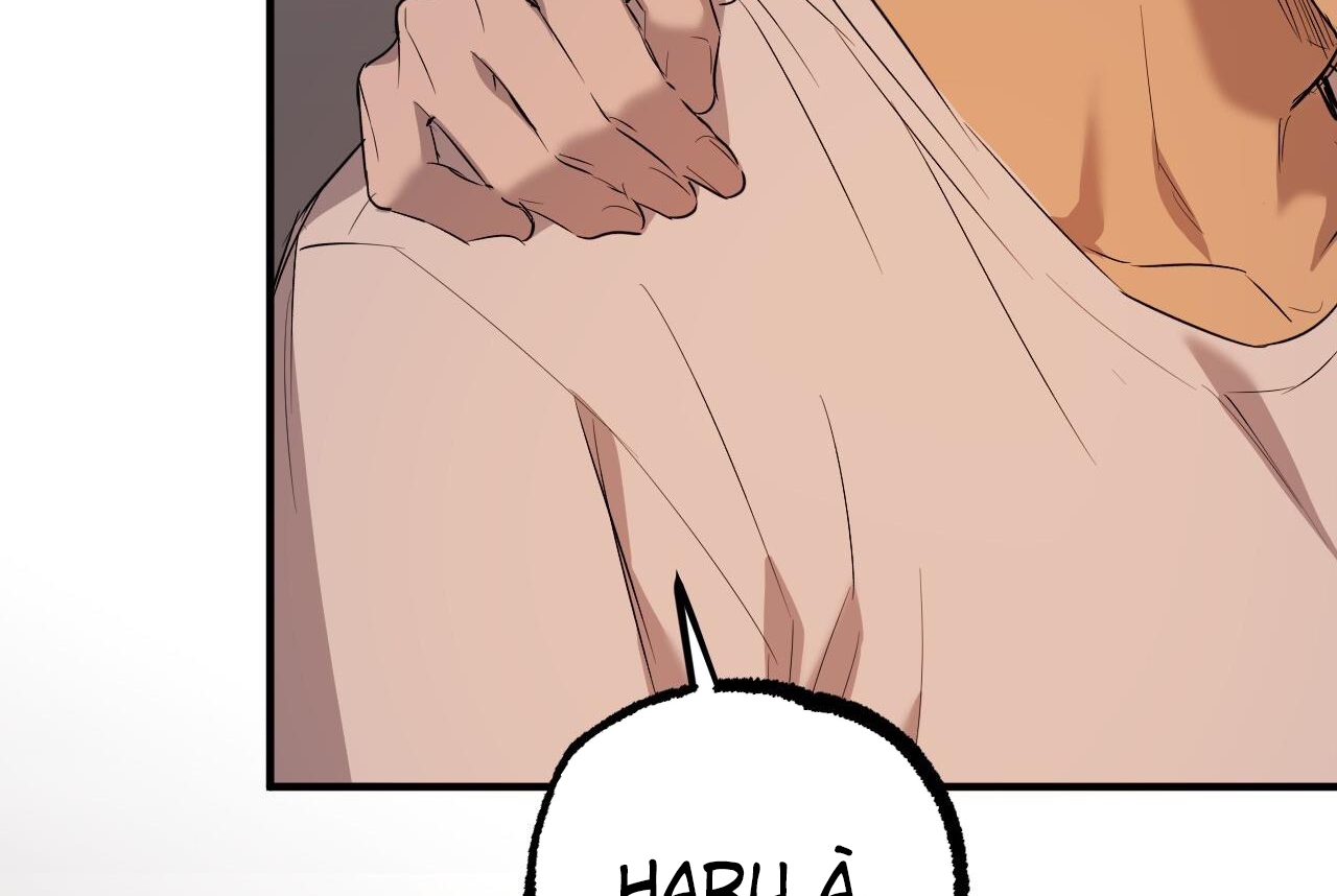 những chú thỏ của hapypy chapter 57 39