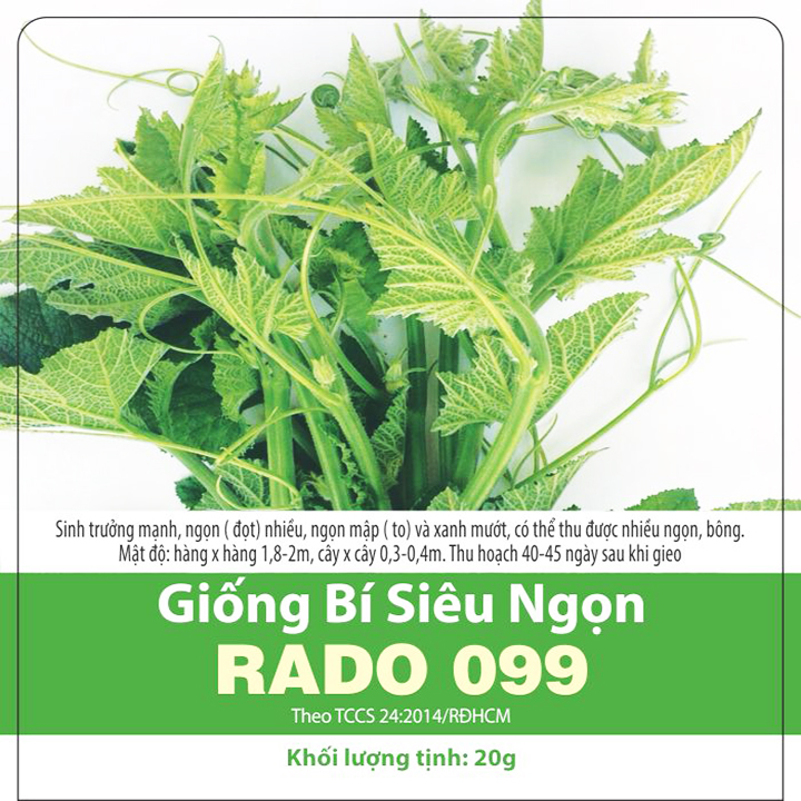 Hạt giống bí siêu ngọn RADO-099 (20g/gói) | Nhiều ngọn, bông
