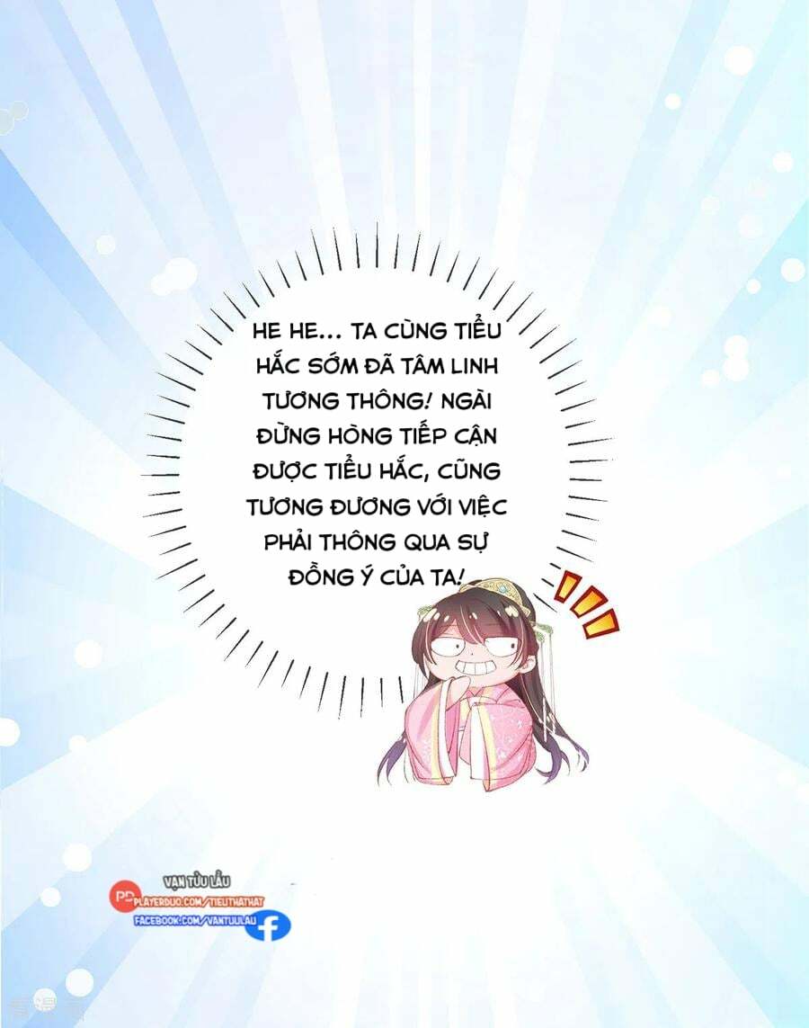 thị huyết y phi chapter 104 11