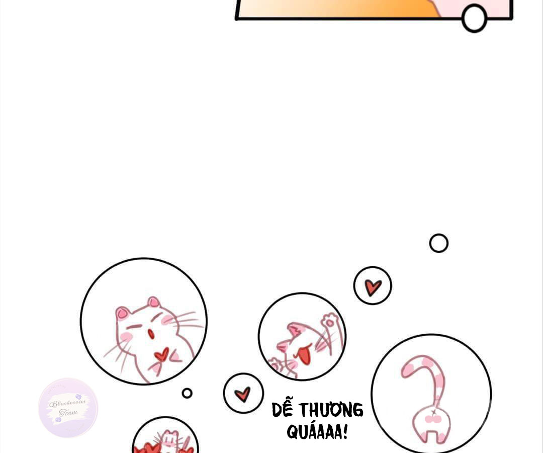 social cat chapter 1 53