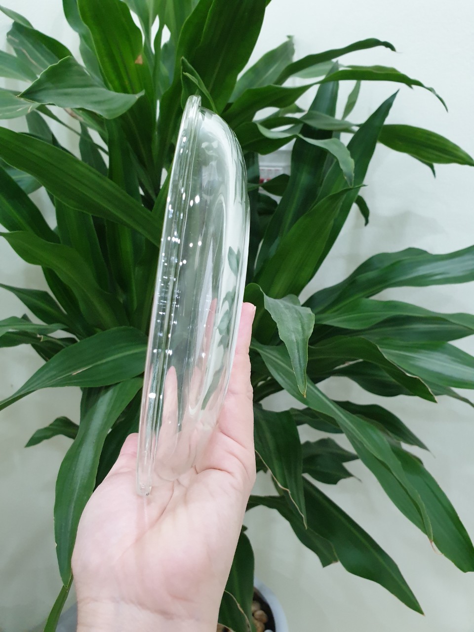 Hộp Thủy Tinh Chịu Nhiệt Cao Cấp Nắp Vòm LLG883 18cm
