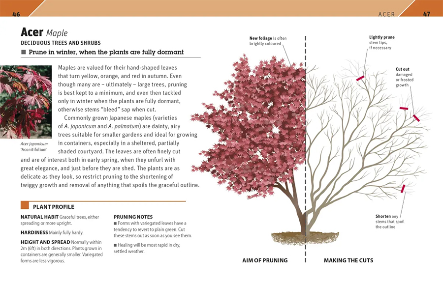 RHS Pruning Plant By Plant