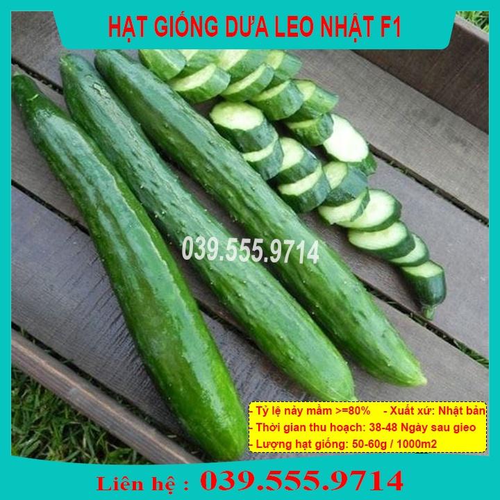 Hạt giống Dưa Leo Nhật Quả Dài F1 Gói 1g