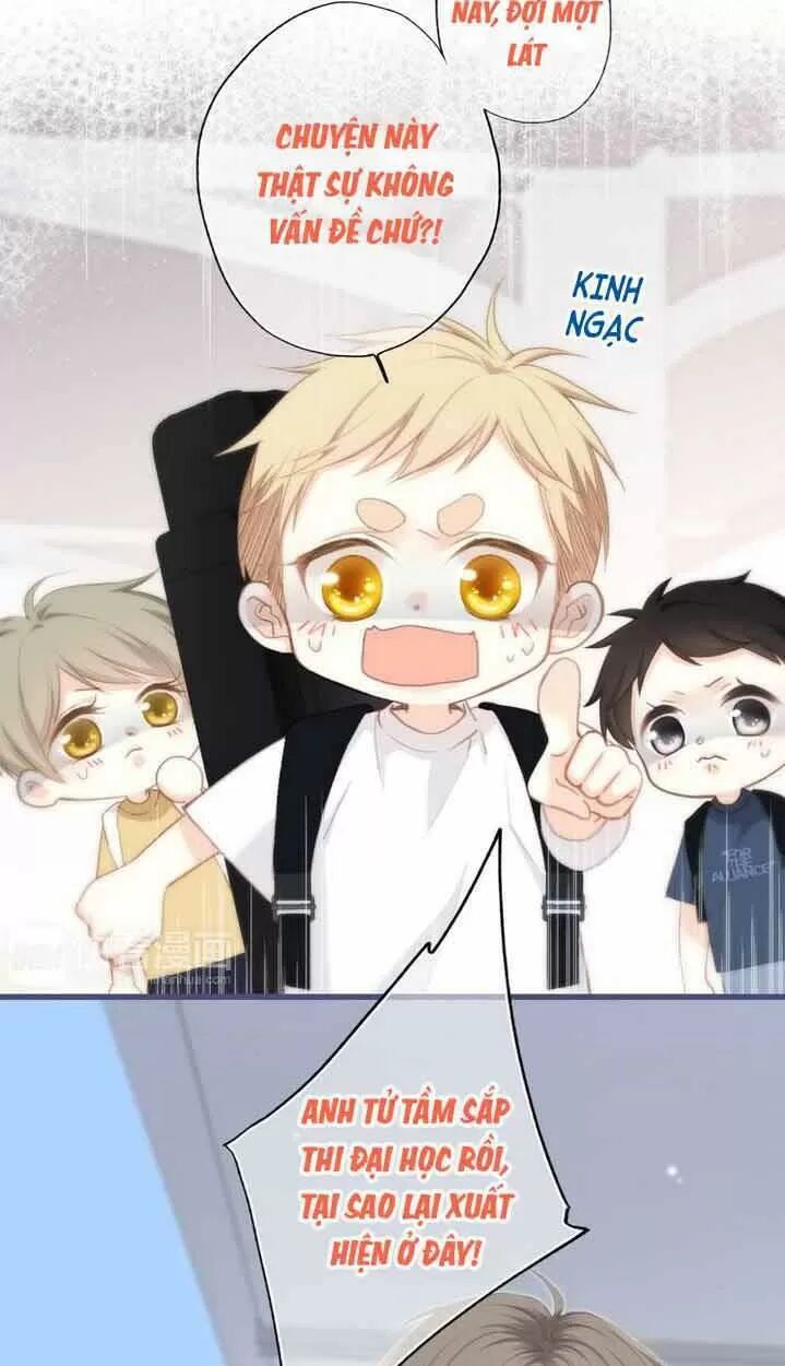 con tim rung động 2 chapter 117.1 5