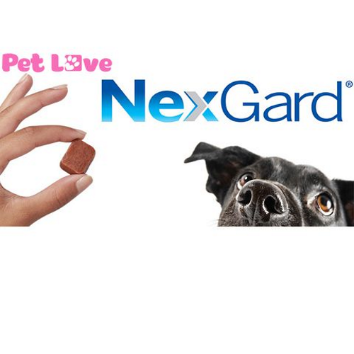 1 viên NexGard trị ghẻ, viêm da, ve rận