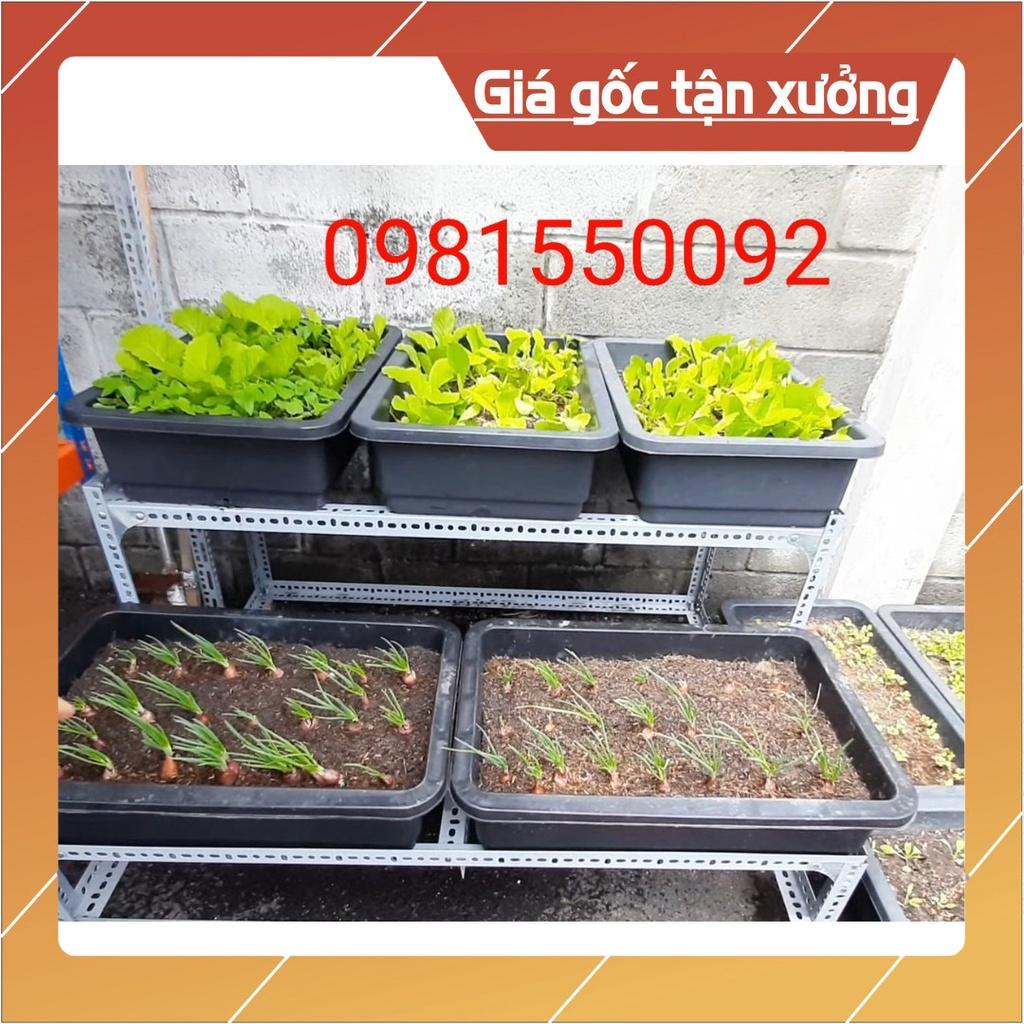 Kệ sắt trồng rau thông minh 2 tầng 5 khay nhựa có BÁNH XE ( dùng sắt V3x3cm và sắt V4x4cm) bao chắc chắn tiện lợi