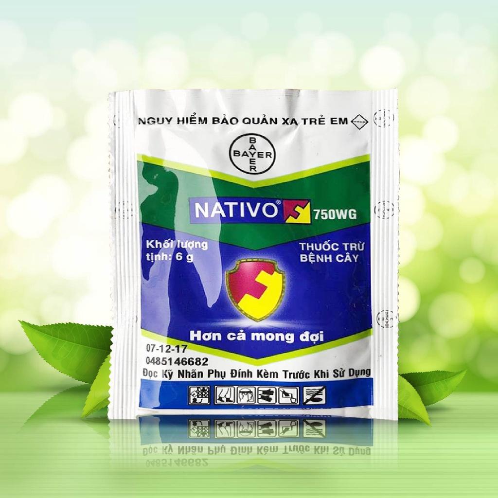 Thuốc Trừ Nấm Bệnh Cây Trồng Nativo 750WG gói 6g