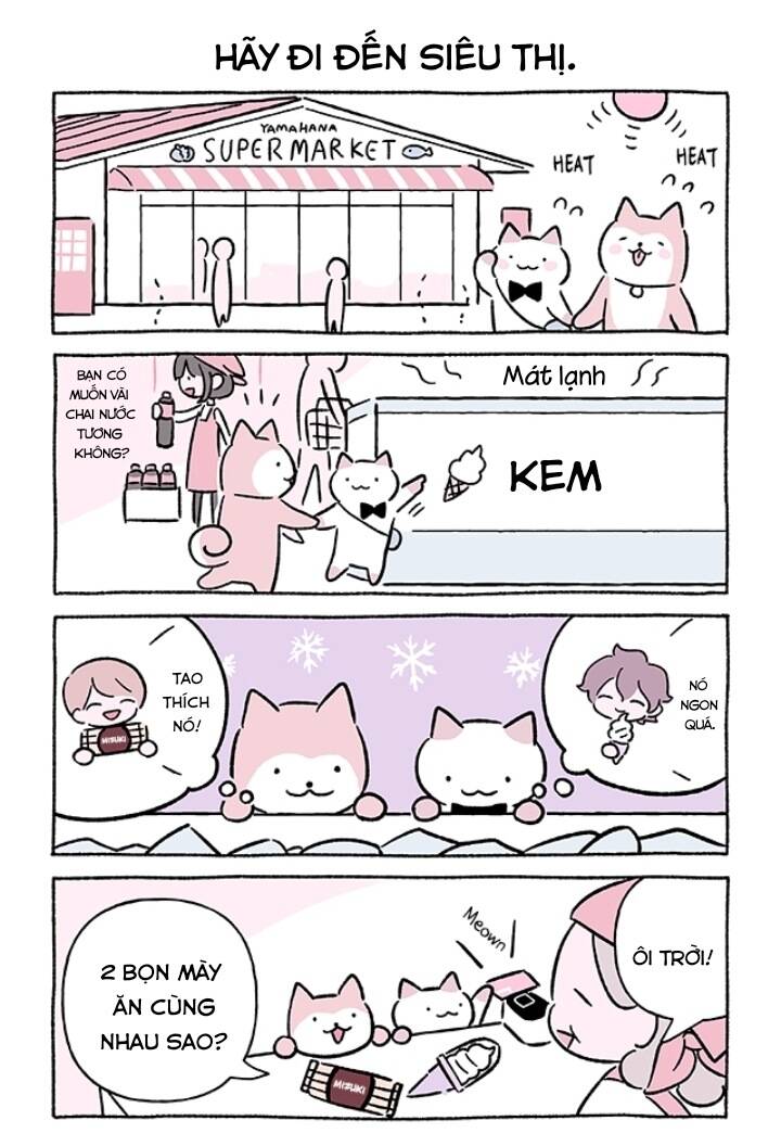 chú mèo kỳ diệu kyuu-chan chapter 704 3