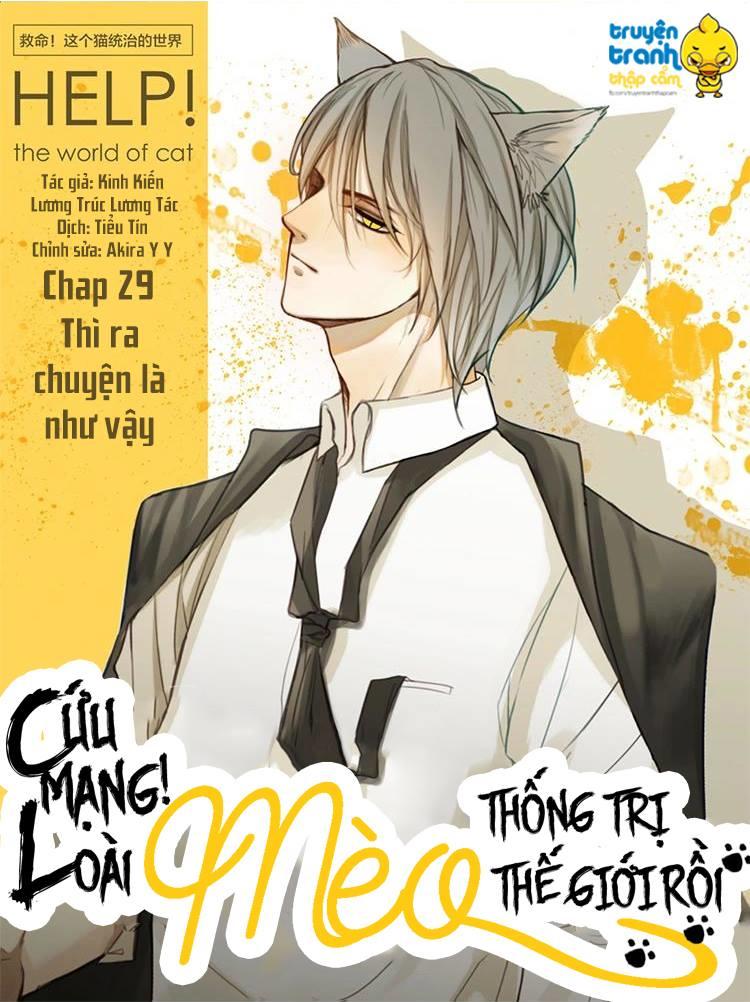 cứu mạng ! loài mèo thống trị thế giới rồi ! chapter 29 1