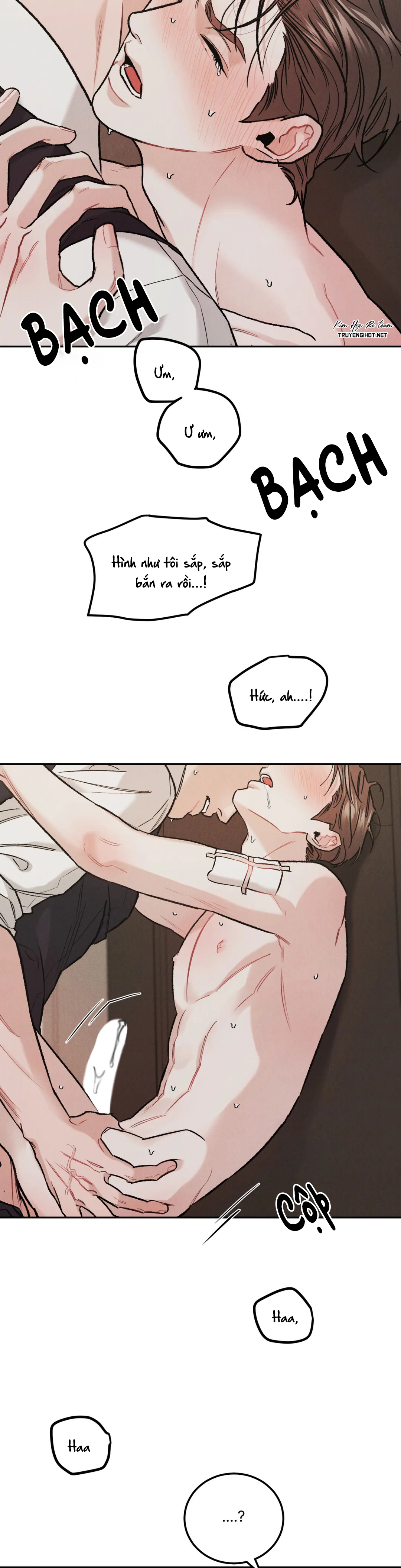 limited run chapter 22 12