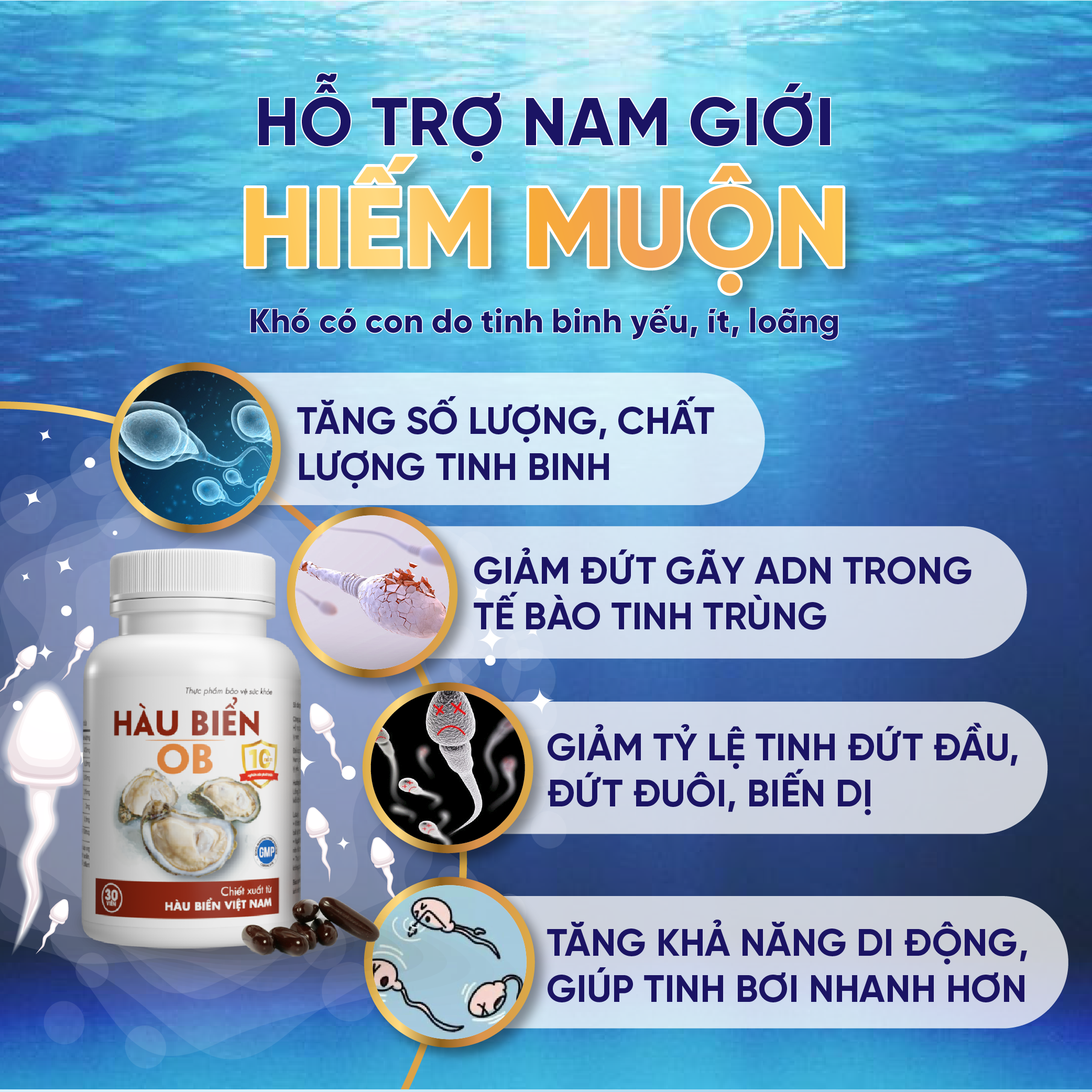 Viên uống Tinh Chất Hàu biển OB - Tăng cường sinh lý nam, Bổ Thận, Tăng Chất Lượng Tinh Trùng, hộp 30v