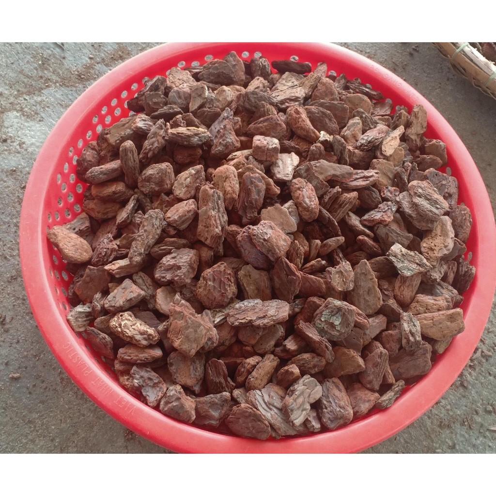 Vỏ Thông Đỏ 900g Đã Qua Xử Lý size 3-4cm