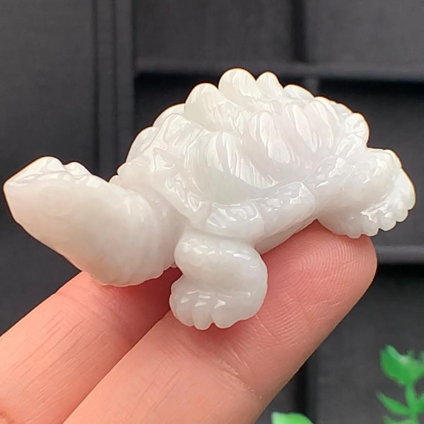 Thọ quy bạch Ngọc phỉ thúy tự nhiên