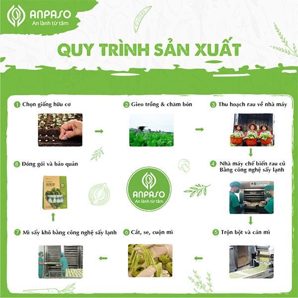 Mì Rau Củ Ăn Dặm Cải Bó Xôi  Organic Anpaso 300g