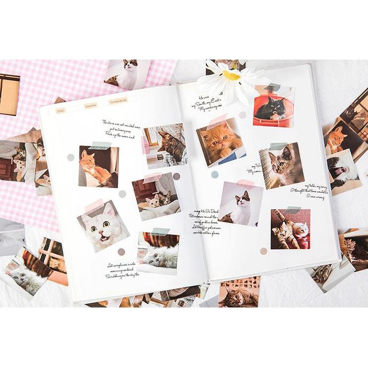 Bộ 46 Sticker Mèo Hàn Quốc dán trang trí E80