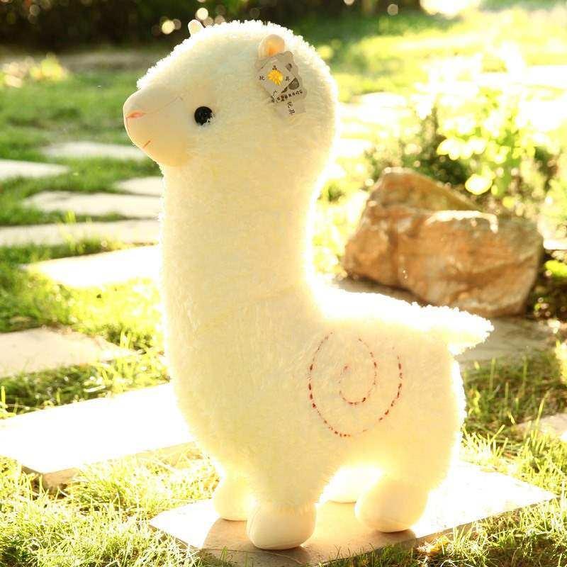 Thú Bông Quà Tặng Lạc Đà A Đán Alpaca Trắng Siêu Đáng Yêu