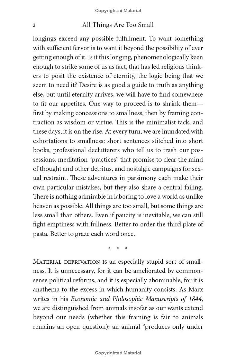 Sách ngoại văn: All Things Are Too Small - Essays In Praise Of Excess