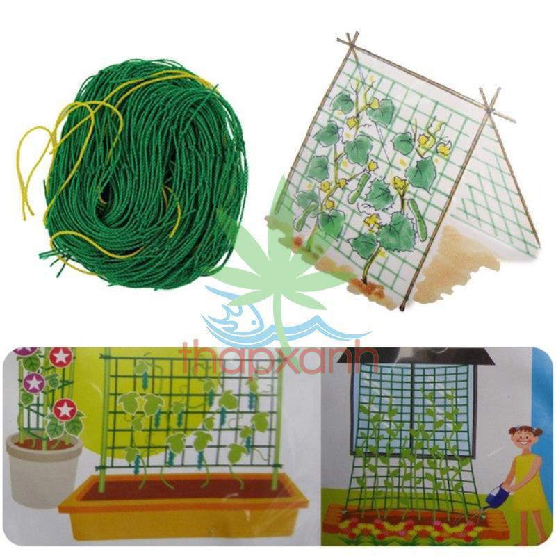 Lưới làm giàn dây leo (1.8m x 1.8m), lưới làm giàn cây Ollie net