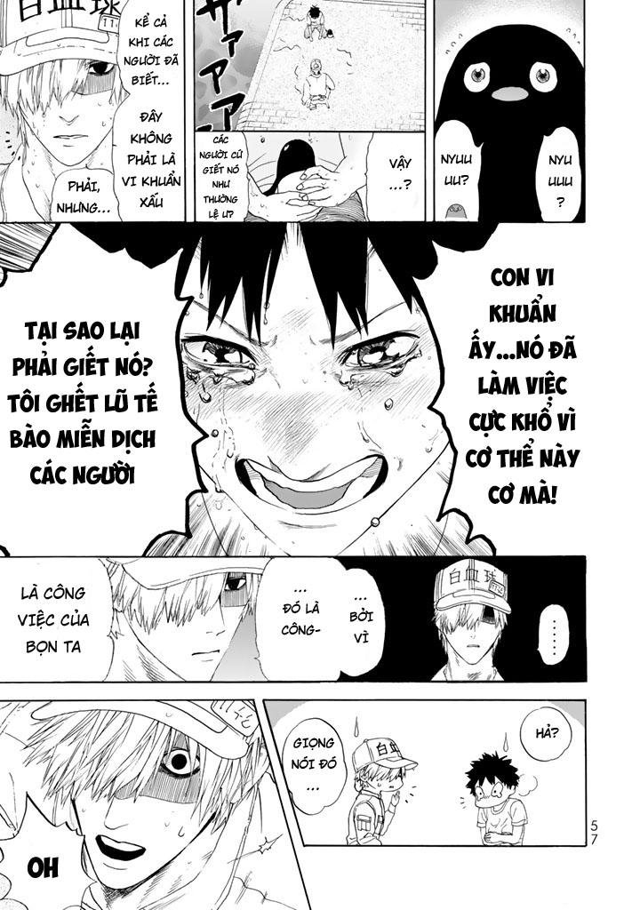 hataraku saibou! chapter 21 13