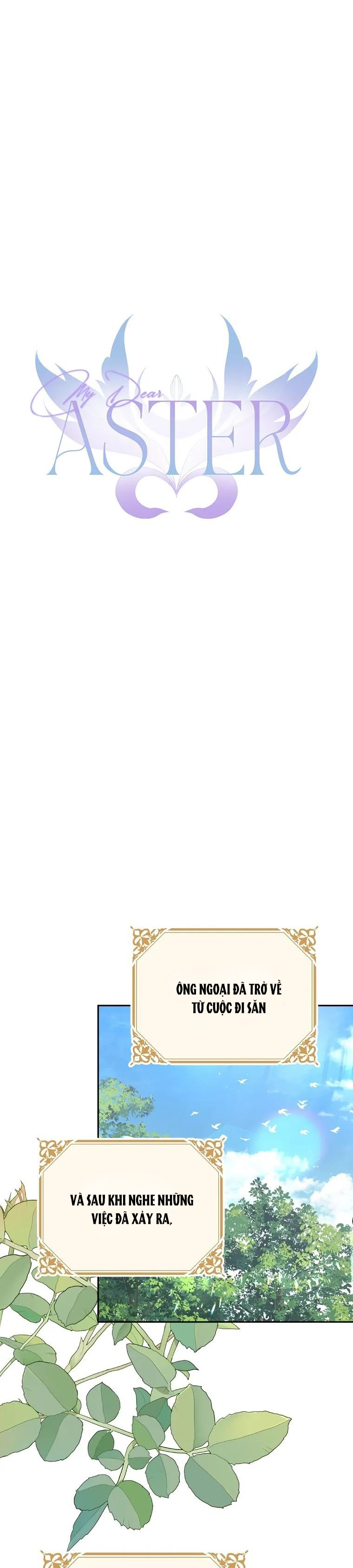 aster yêu dấu của tôi chapter 63 15