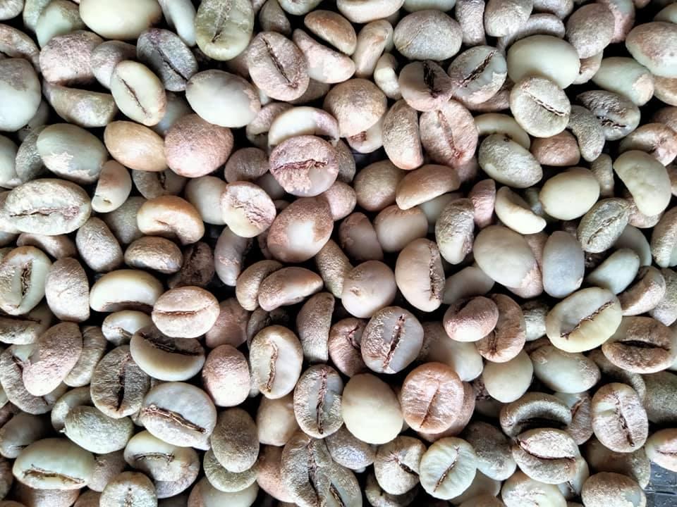500g Cà Phê Nhân Robusta