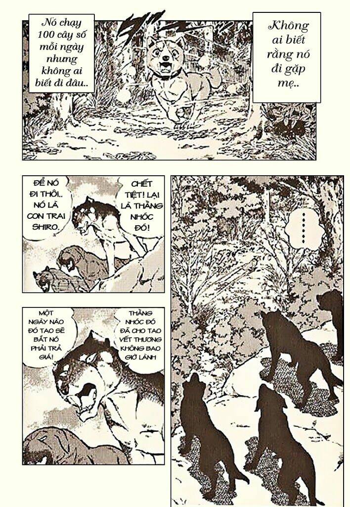 ginga densetsu riki chapter 5 24