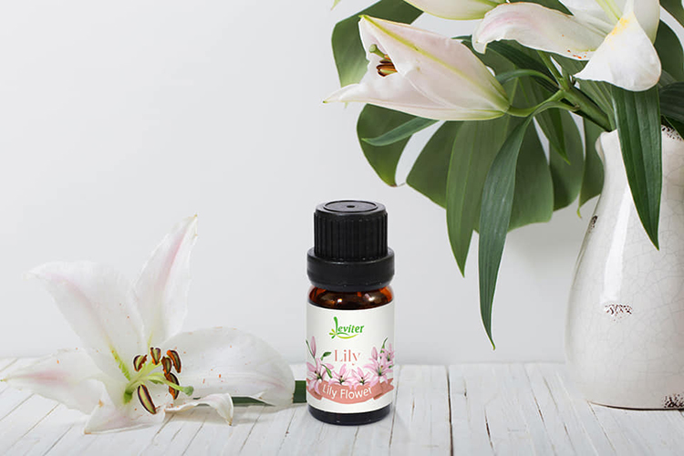 Combo 3 chai Tinh Dầu Leviter Gợi Cảm 10ml Hương Anh Đào, Sen Trắng, Lily giúp khử mùi, tăng sự gợi cảm cho không gian thơm mát