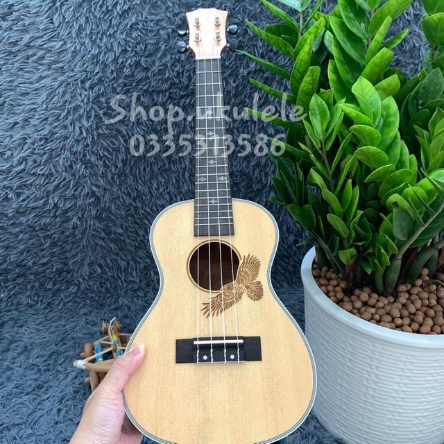 UKULELE CONCERT GỖ ĐẠI BÀNG