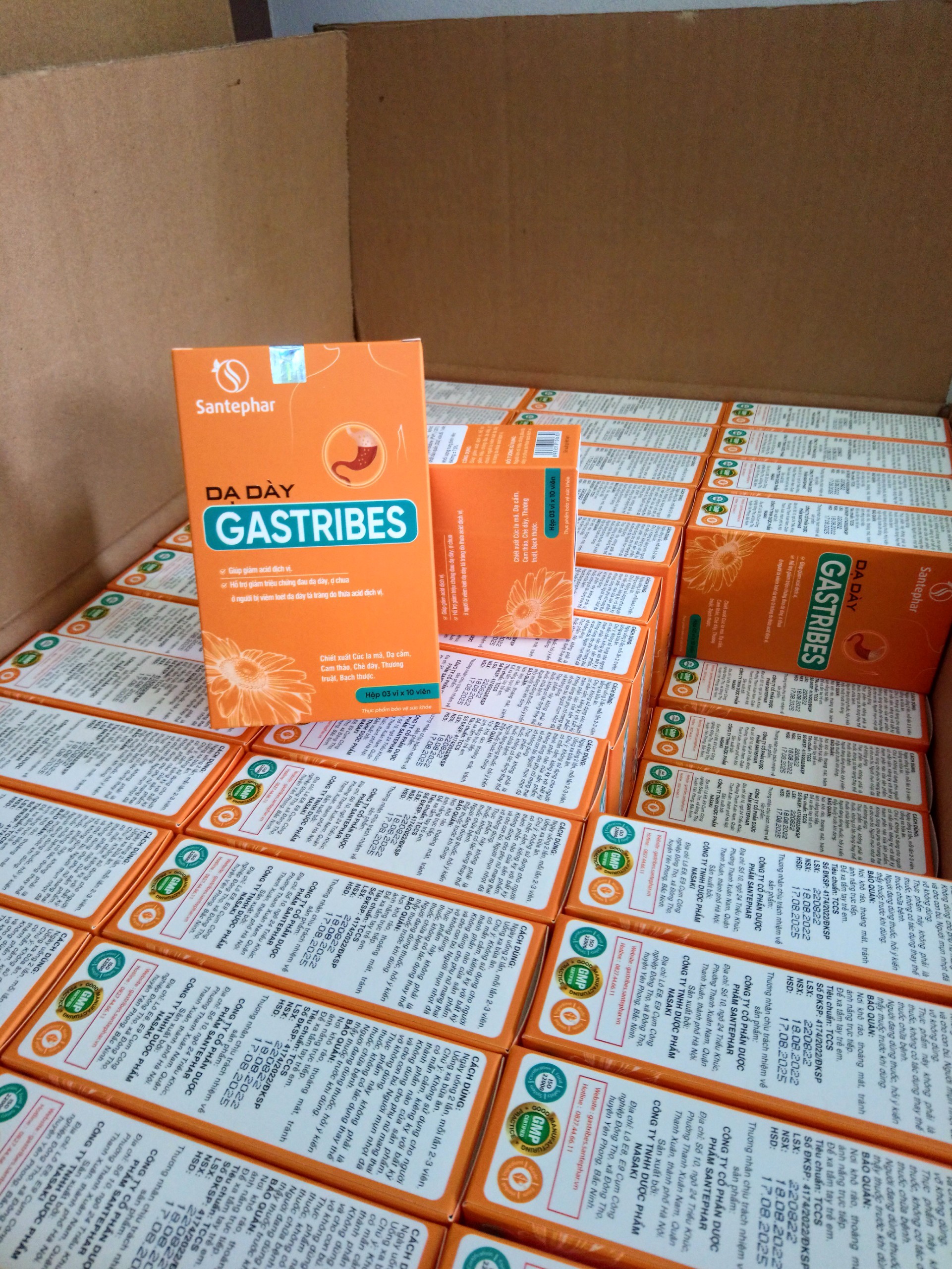 Dạ dày Gastribes - Sản phẩm hỗ trợ điều trị viêm loét dạ dày tá tràng hoàn toàn từ thiên nhiên